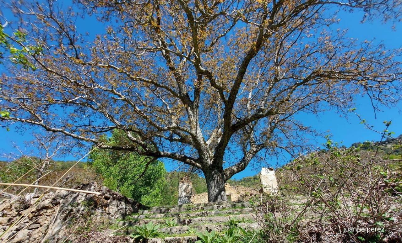 Villa Forastera Arroyo Frio Esterno foto